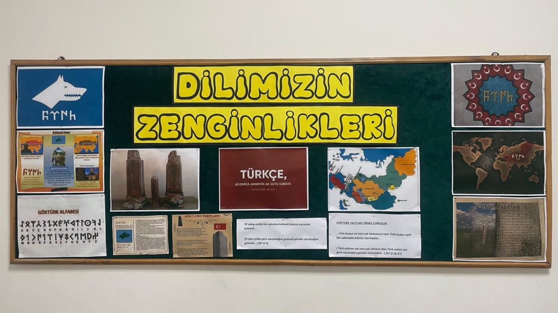 Dilimizin Zenginlikleri Projesi